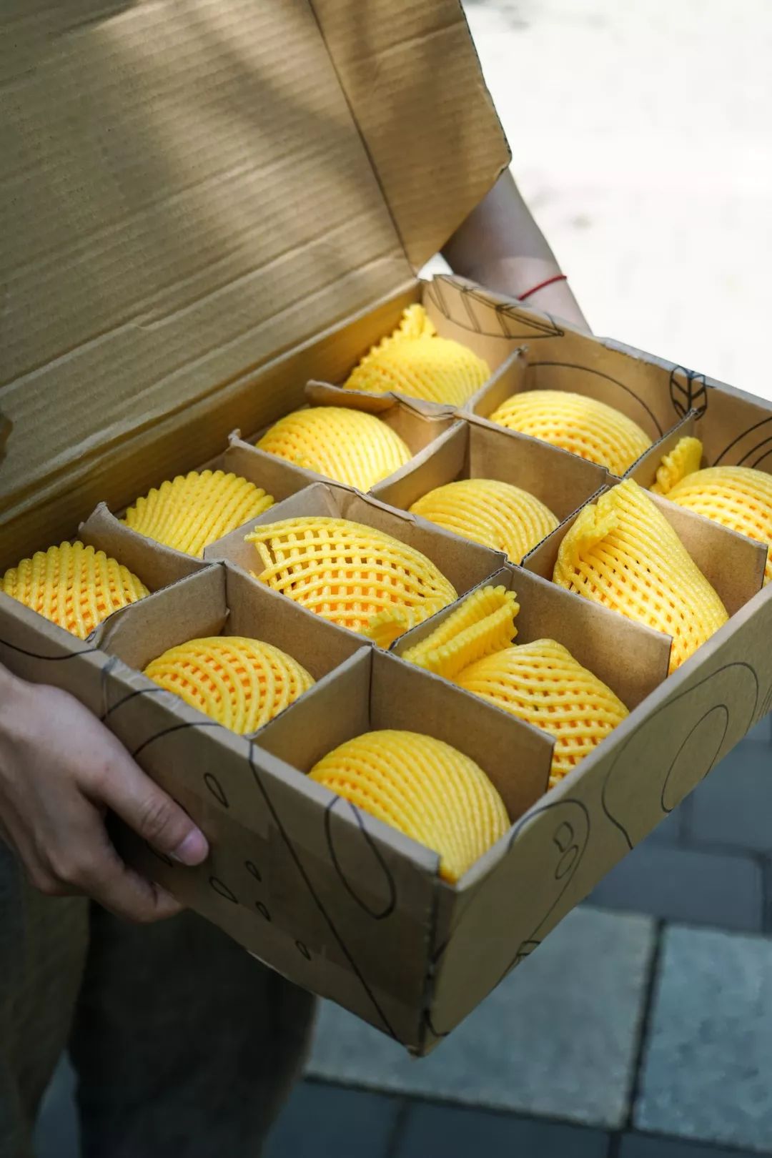 长春生鲜冷链配送,长春蔬果生鲜配送新鲜直达