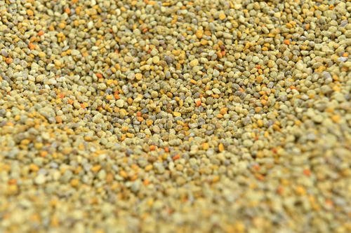 黄花大闺女的黄花究竟是什么,黄花大闺女中的黄花原指什么