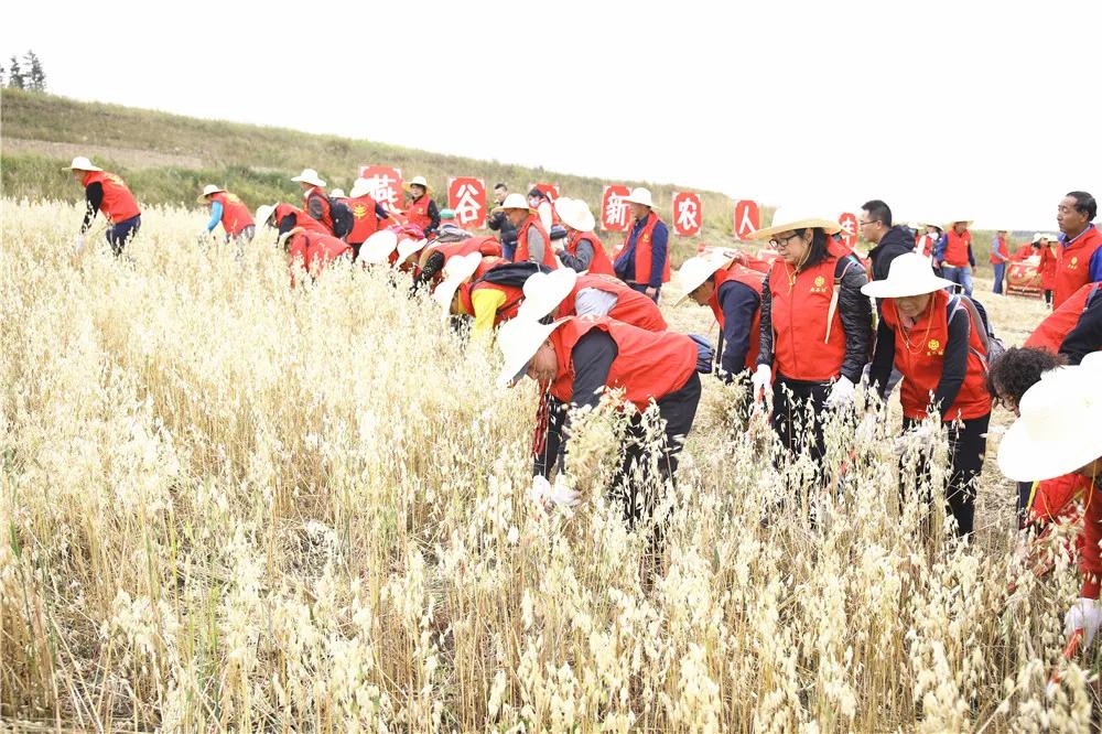 第三届中国农民丰收节汝南,益阳市第三届中国农民丰收节举行