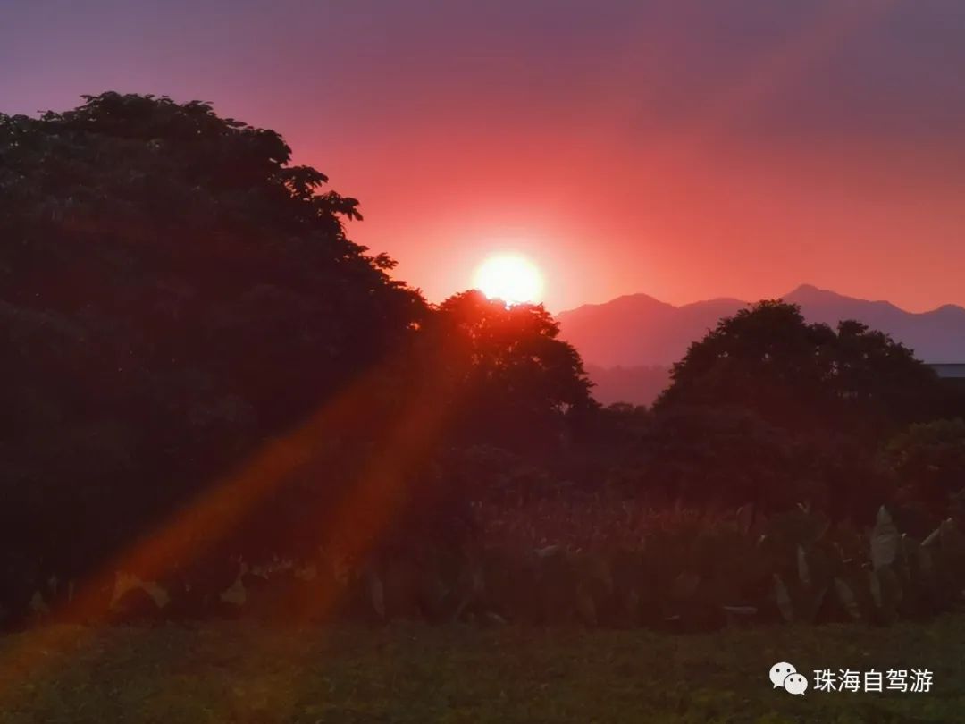 大山峰水牛坪露营记,东岸岭露营徒步