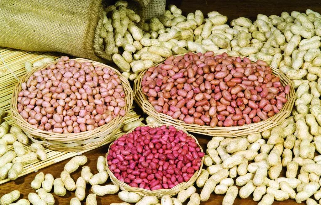 长生果的功效与作用及用途,长寿果的营养价值及功效与作用