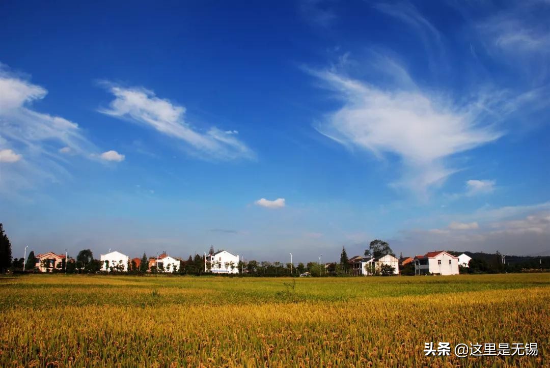 无锡秋游胜地最全推荐,无锡秋游自驾绝佳去处