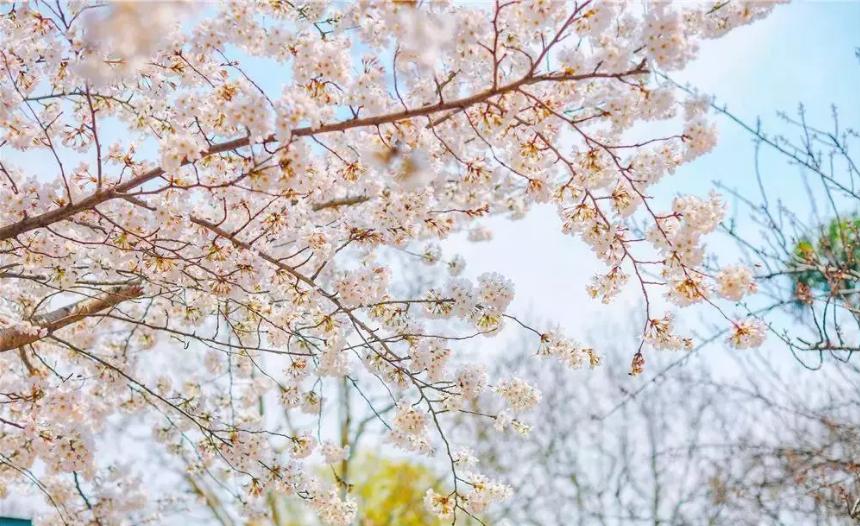 五月份上海有什么新消息,上海4月份有哪些消息