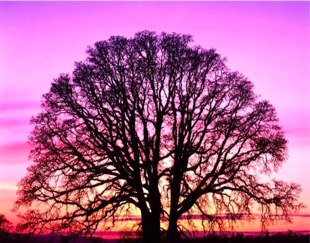 科学家找到6个神奇的数字,科学家找到6个神奇数字