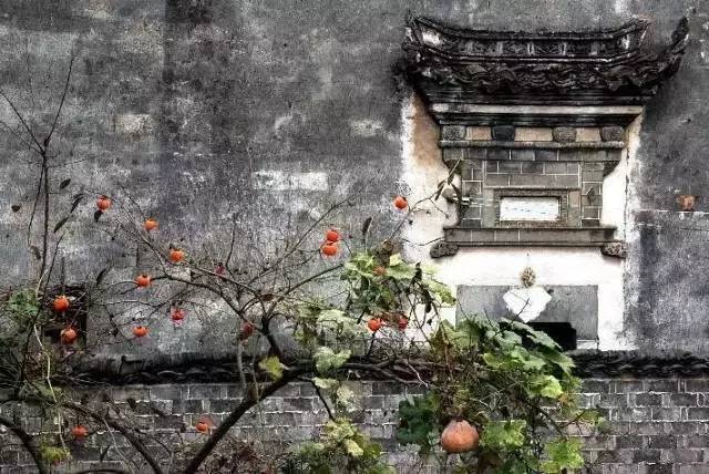 中国最美乡村Top10，有你家乡吗？