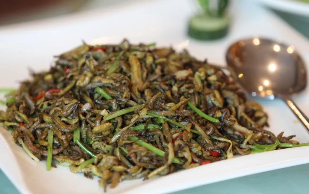 你好，我叫珠海，请收下我2021版新名片，带你了解新的珠海！