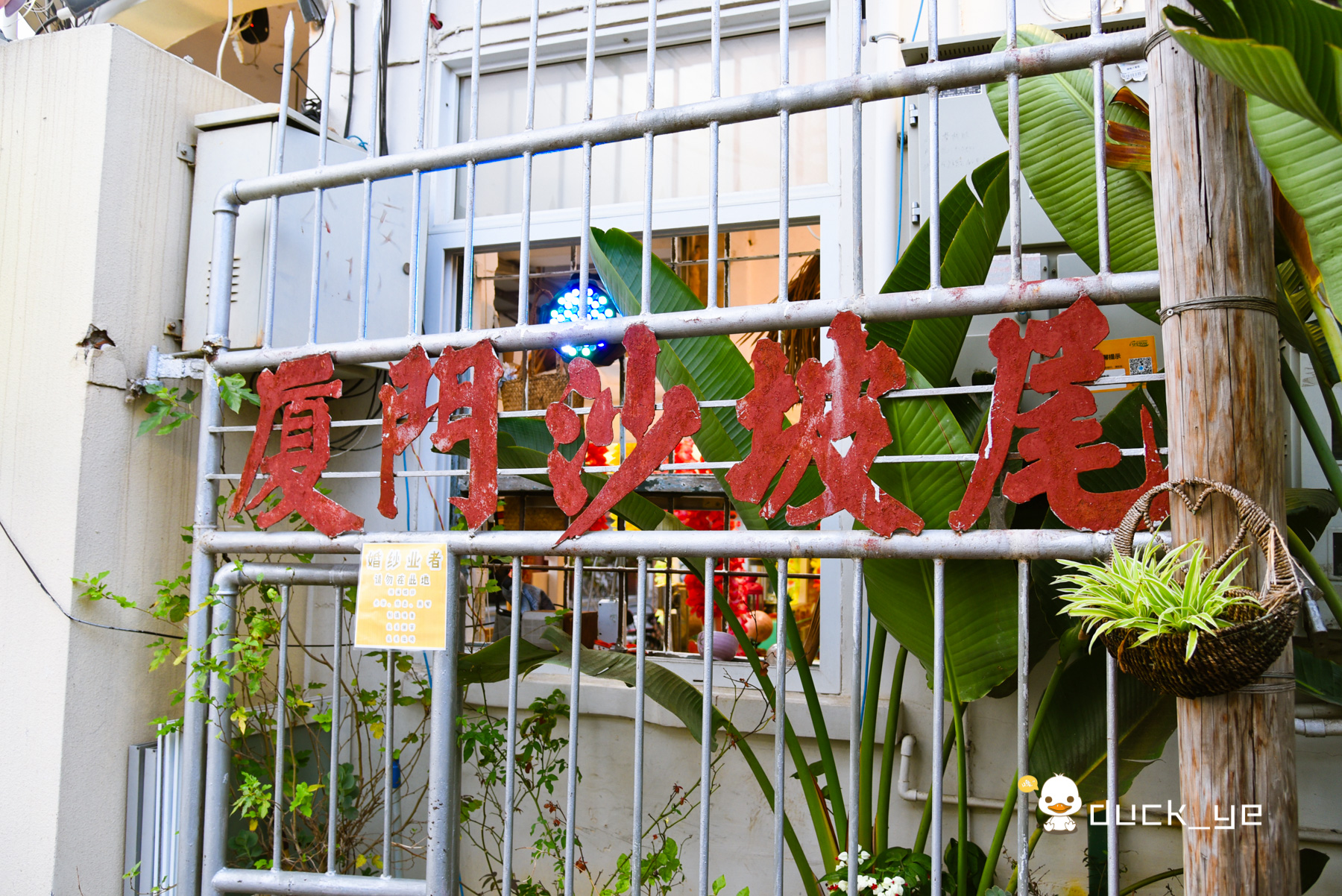 厦门岛内旅游十大必去景点免费,厦门旅游十大必去景点岛内攻略