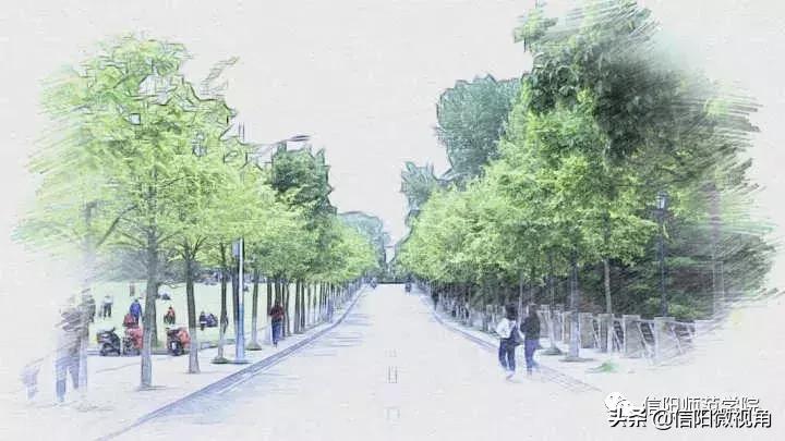 信阳师院素描画,信阳师范手绘图