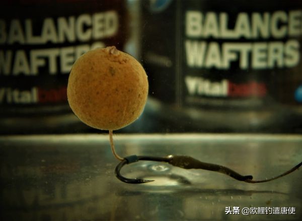 欧洲疫情催生钓鱼热？名企推新手套装钓大鲤鱼