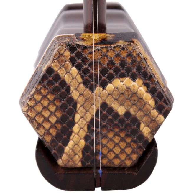 蟒蛇准备偷鸡吃被发现,巨大蟒蛇偷鸡被抓