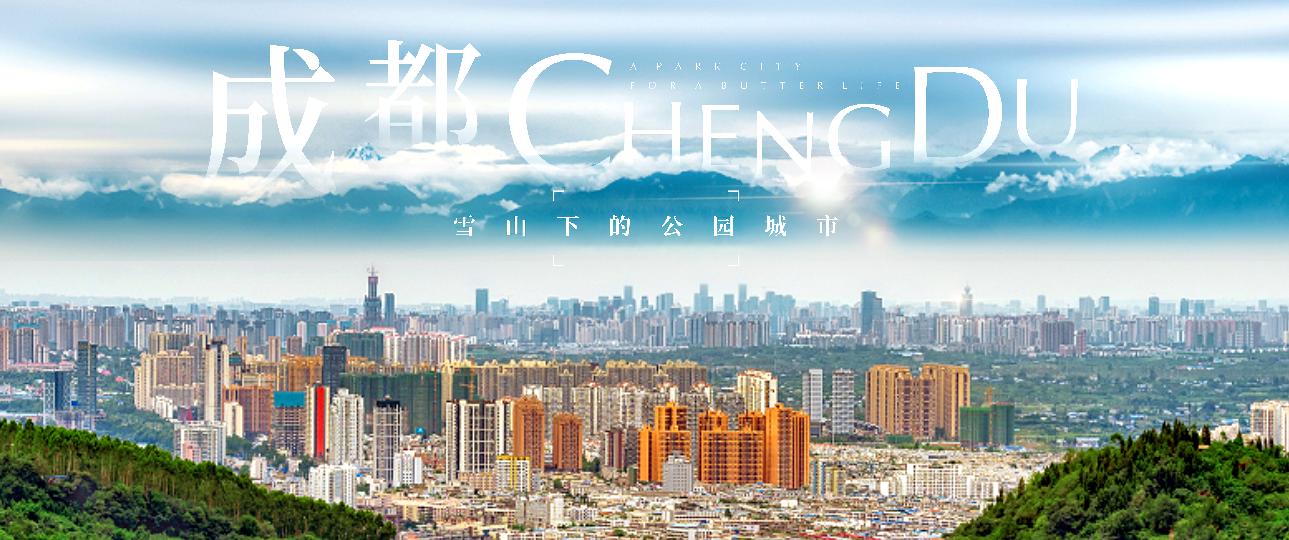 景美人善！我红耳鹎成都“安家”日常曝光