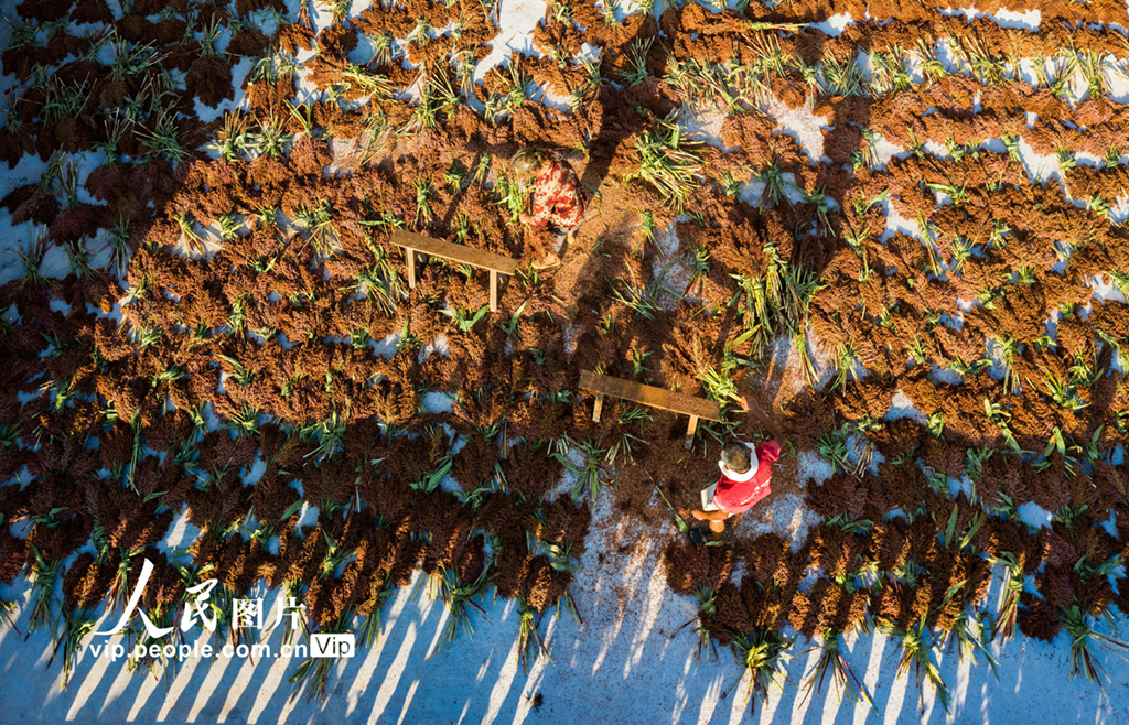 安康市恒口示范区百日大会战,安康市恒口示范区成立始末