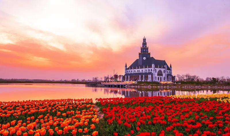 褰㈠鑽峰叞鑺辨捣,鎻忓啓鑽峰叞鑺辨捣鐨勮瘲