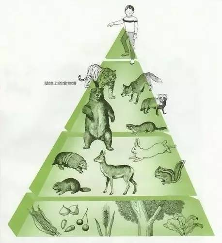 企业进化论的启示,生物进化论对学生学习的启示