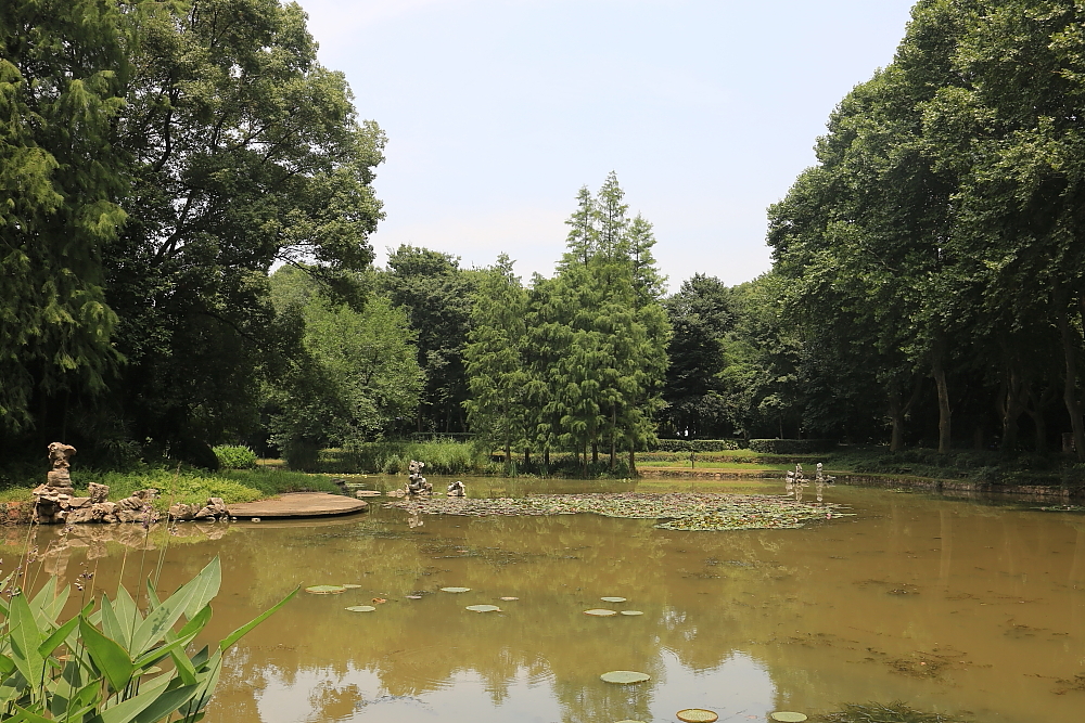 植物园的景；青山吹奏《红河谷》（F调）半音阶口琴演奏第二版