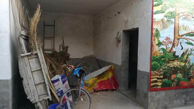 农村最简易的一层农家小院,最真实的农村小院