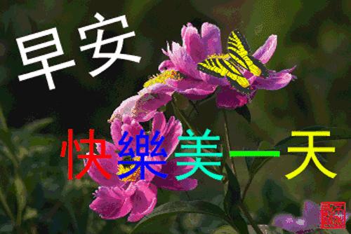祝愿您新的一天心情愉快,愿清晨的问候带给您愉快的一天
