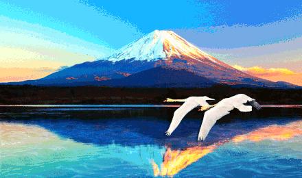 舔狗歌曲排行榜前十名,十大舔狗歌曲