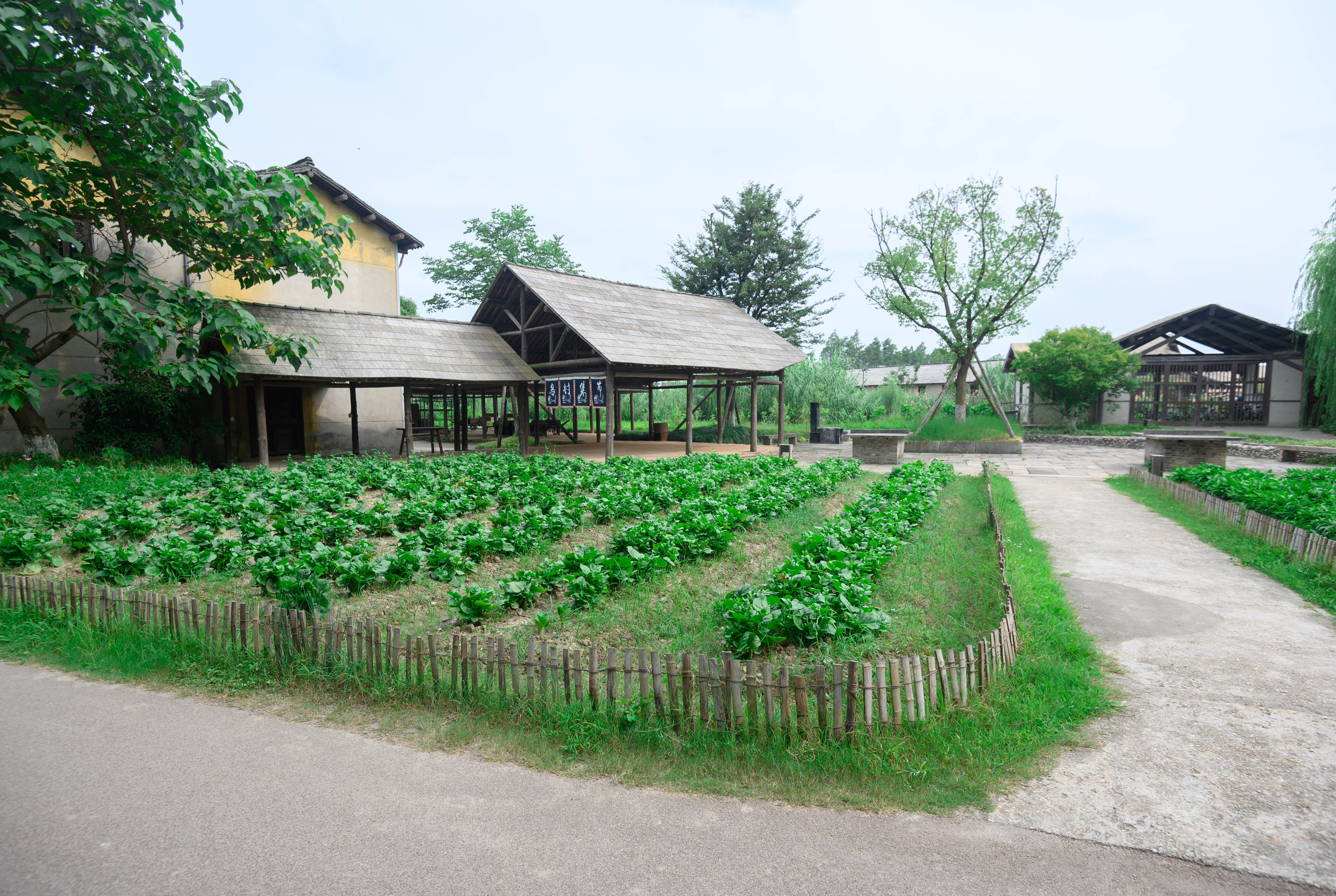 知道乌村吗，孩子来了就不愿离开，住乌村去西栅可以省150元