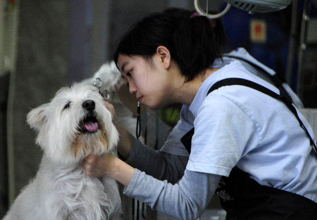 适合穷人创业的门路暴利创业,穷人想创业不知道怎么做暴利创业