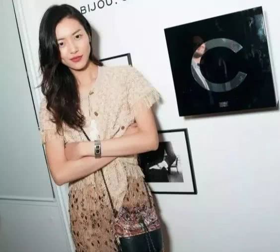 刘雯大包包推荐,刘雯同款豹纹包包