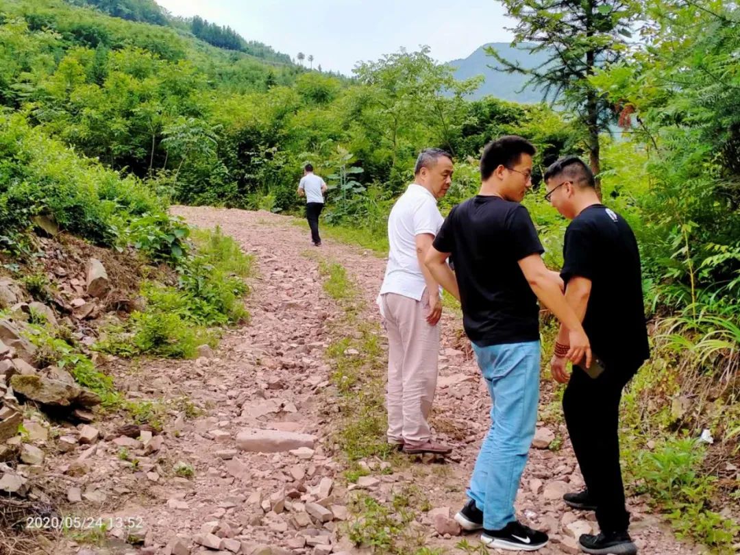 张家界的莓茶酥,张家界的莓茶是什么植物