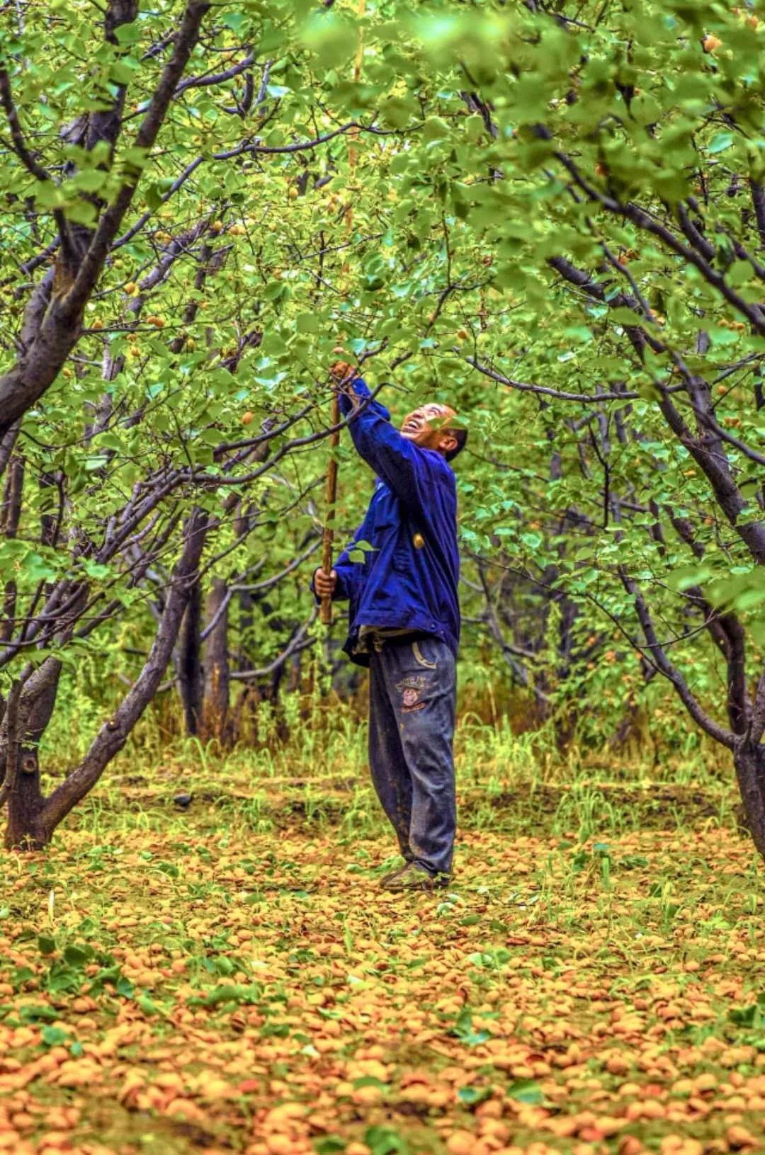 京张高铁张家口何时能发车,张家口京张高铁离河北燕郊有多远