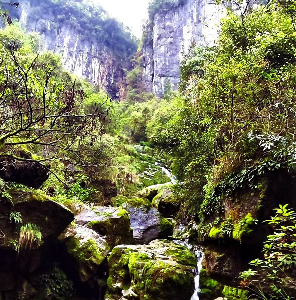 天生三桥和印象武隆怎么玩,重庆武隆天生三桥春夏秋冬景象