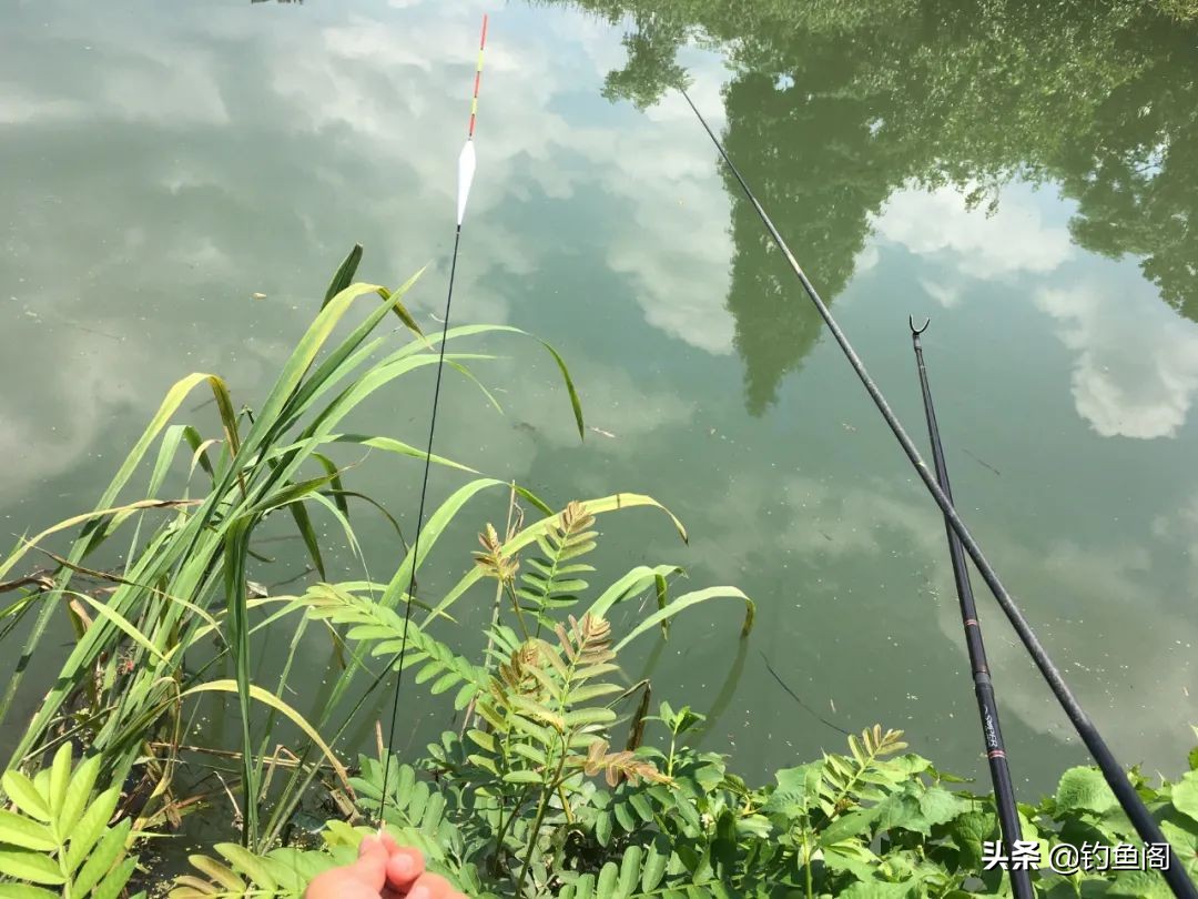 如何正确的选择浮漂,如何选择合适的浮漂