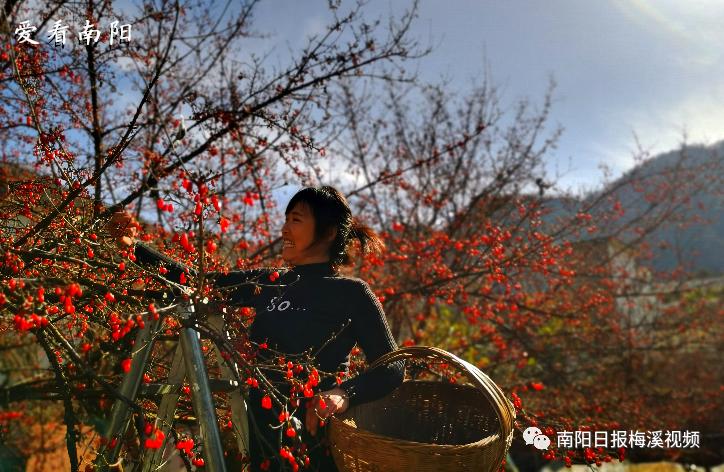 爱看南阳㉘初冬·暖阳依旧