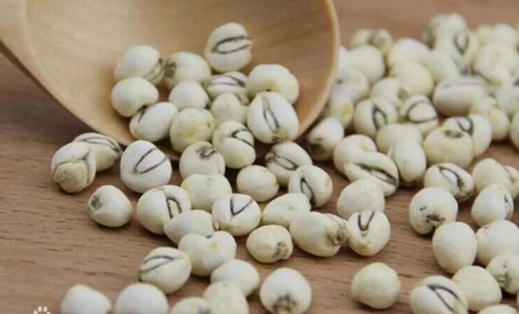 半夏和川贝哪个止咳效果好,半夏川贝熬水服用功效