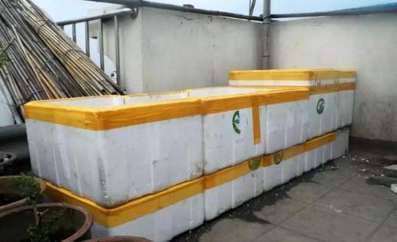 室内养花种菜工具箱,用泡沫箱可以做厨余垃圾堆肥水吗