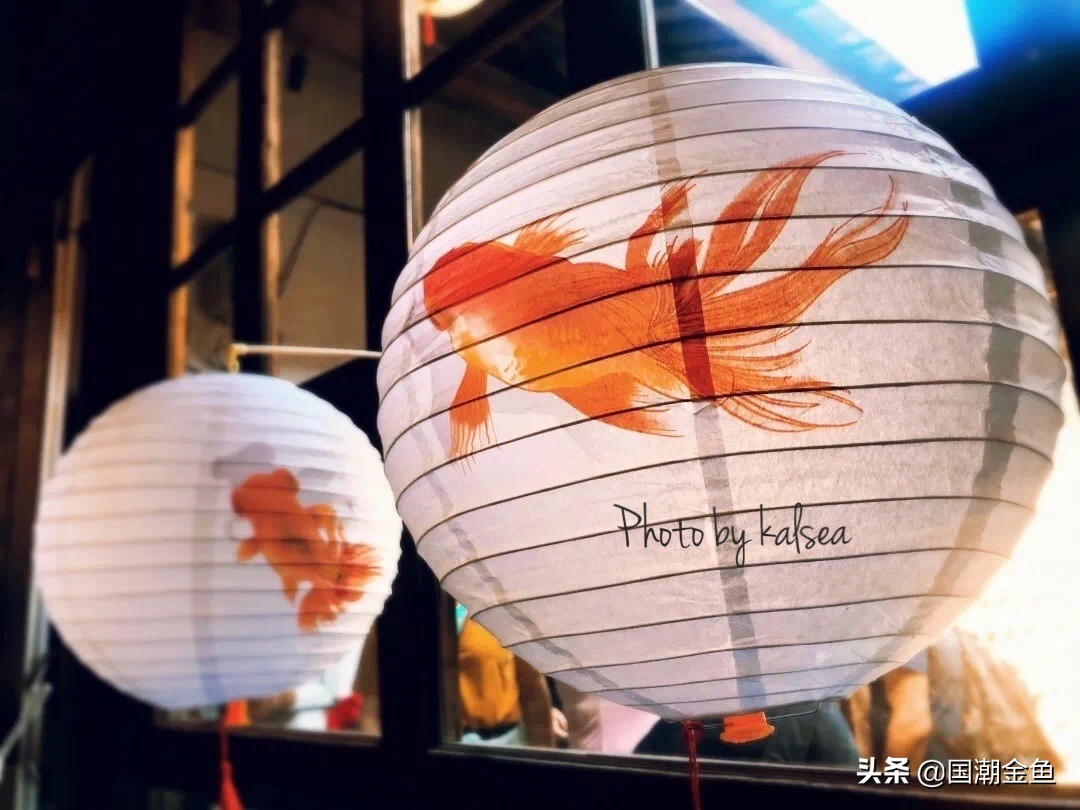 鍥芥疆閲戦奔鎽勫奖,涓浗閲戦奔鎽勫奖