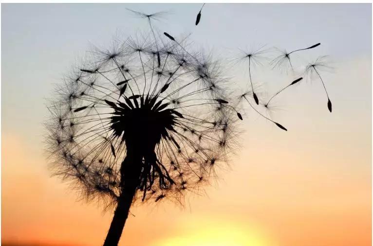 入境现金不申报会怎么样,入境超过多少要交税