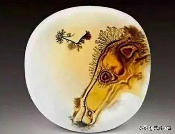 海洋玉髓是玉还是玛瑙,海洋玉髓玛瑙四季图片