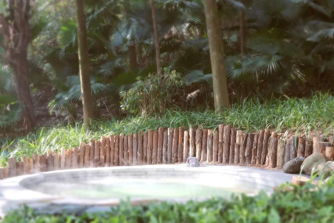 清远温泉度假村排行,清远温泉度假村酒店推荐