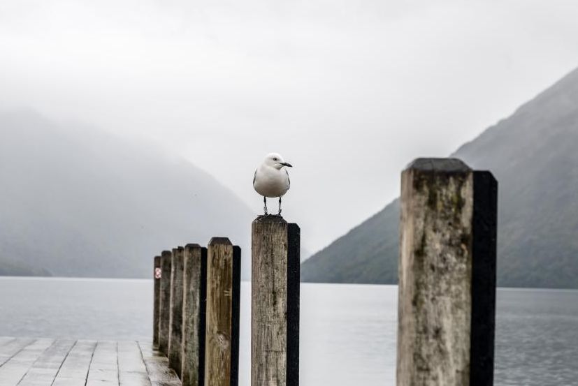 语文老师整顿的超全成语分类汇总,语文成语分类整顿