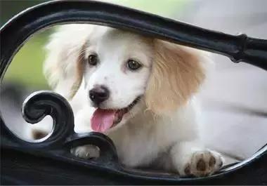 最容易读错的106个多音字赶快收藏,必背50个常见多音字你会几个