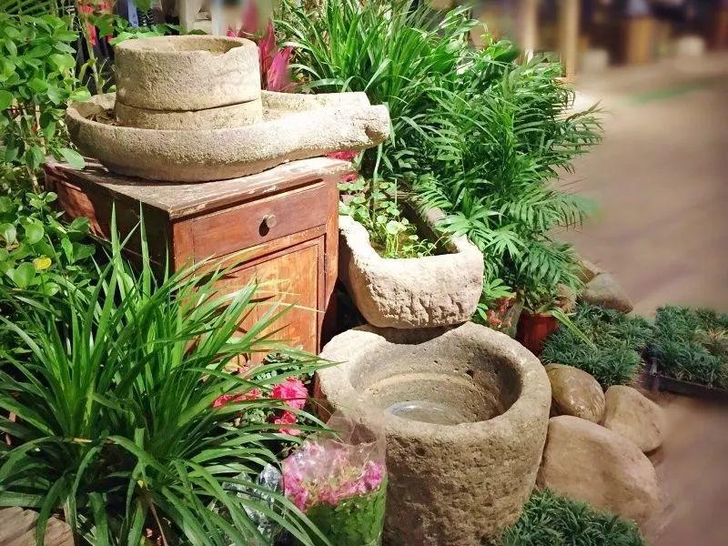 自媒体三农创业,自媒体助力农业农村发展