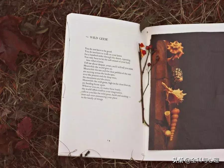 心灵鸡汤正能量工作短句,心灵鸡汤人生感悟正能量短句合集