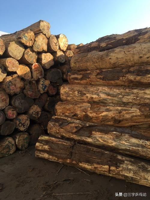 桧木特性介绍,桧木效果