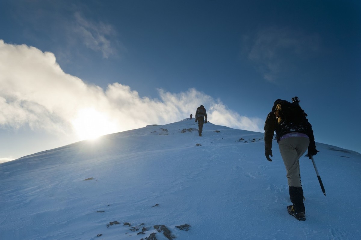 阜阳放大招，不愁没业务接啦！