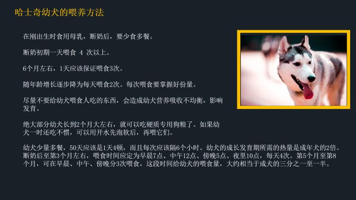 哈士奇到底应该怎么养,20天左右的哈士奇怎么喂养
