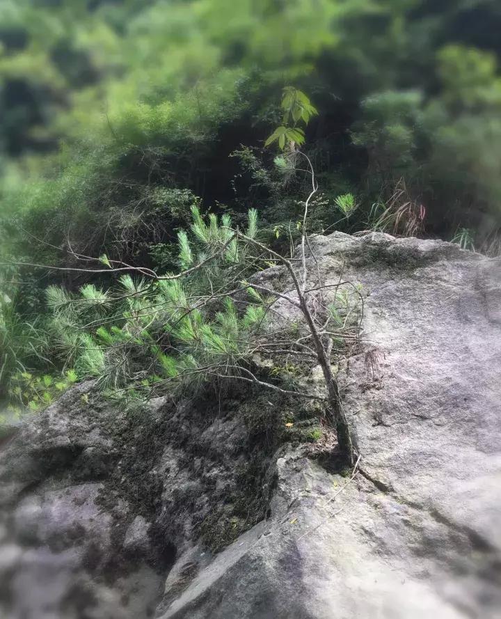 平江碧龙峡景区值得去玩吗,平江碧龙峡全长多少公里