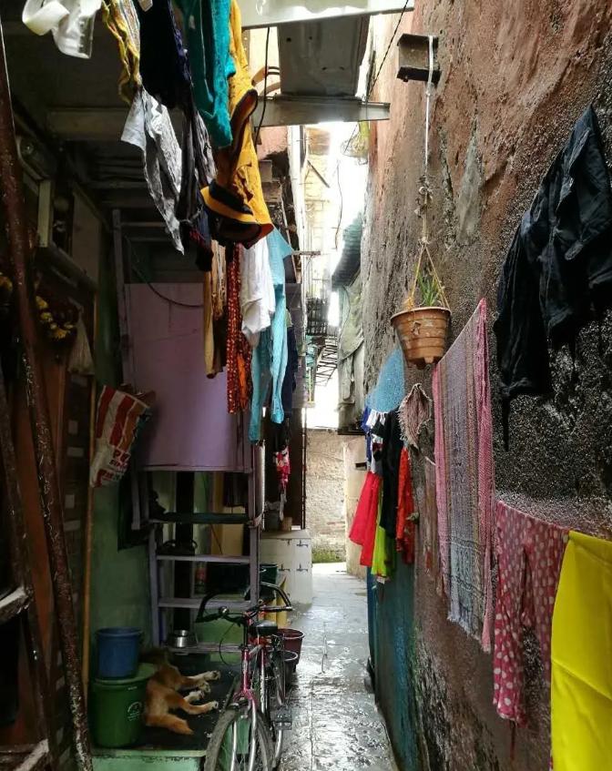 这个国家感染人数可能破5亿，上千万人或丧命