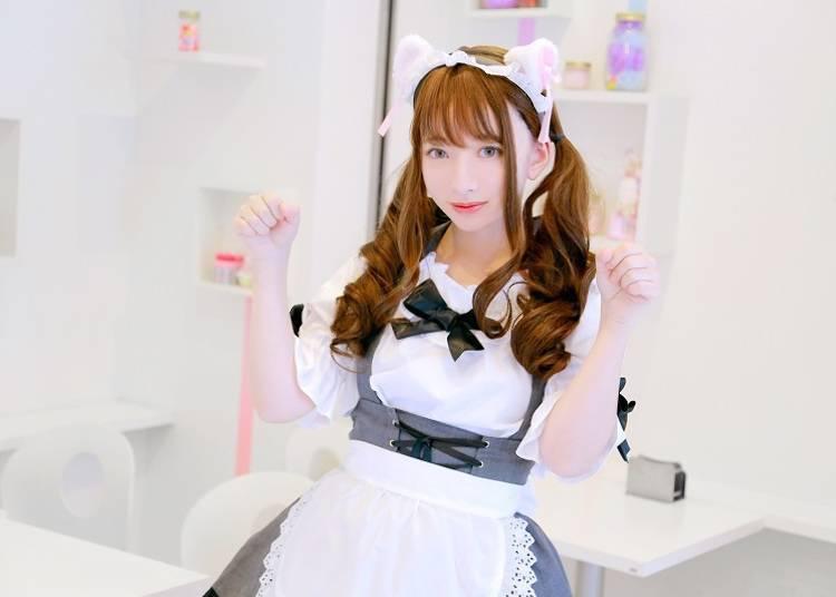 萌？治愈？宅男天堂？快来看看日本的女仆咖啡厅都提供哪些服务