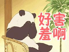 包大师官网下载,包大师平台怎么样