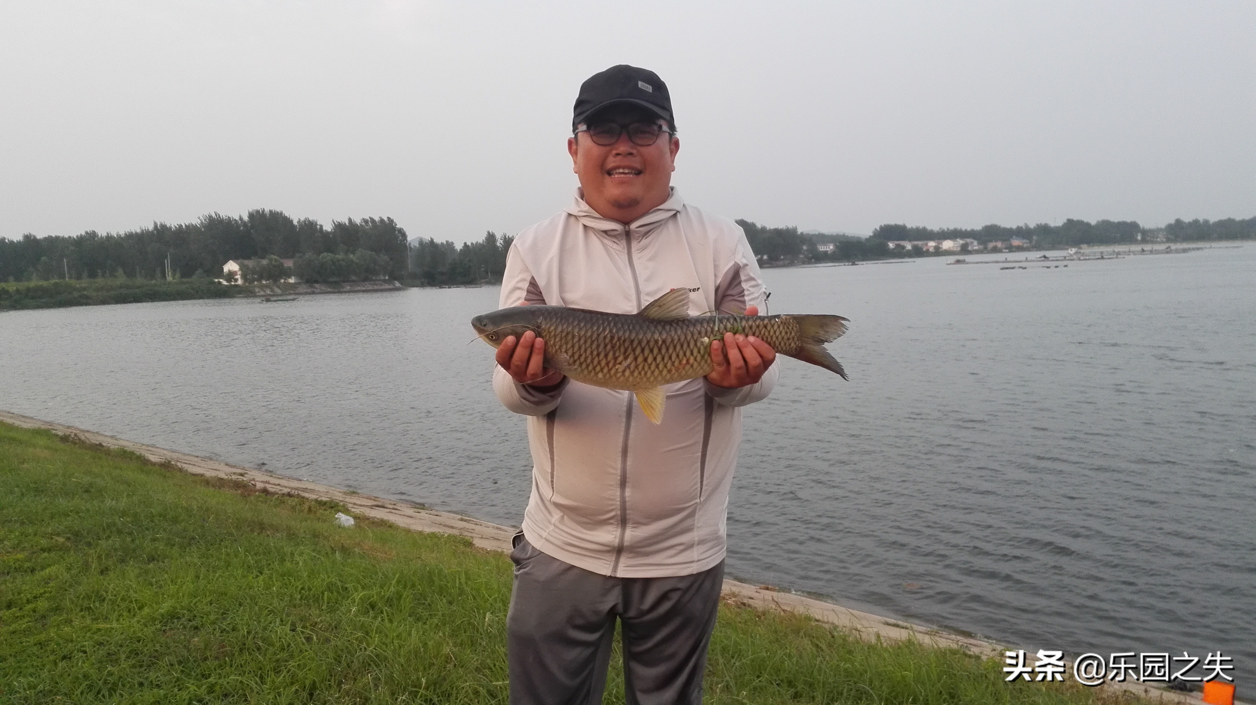 养殖水域钓草鱼,水库钓养殖草鱼用什么饵最好