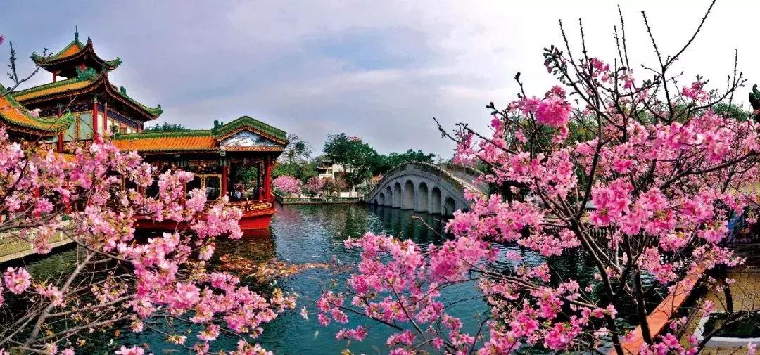 2020广州三八节免费景点,广州三八节哪些景点公园免费