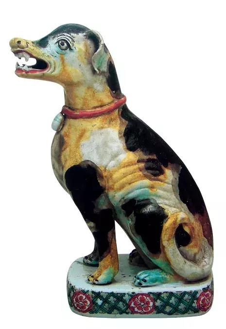 中国狗品种常见小型犬,狗狗种类中小型犬